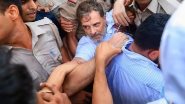 ভারতে বিরোধীদলীয় নেতা রাহুল-প্রিয়াঙ্কাসহ কংগ্রেস নেতারা আটক
